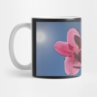 Pink Flower Sun Shadows Mug